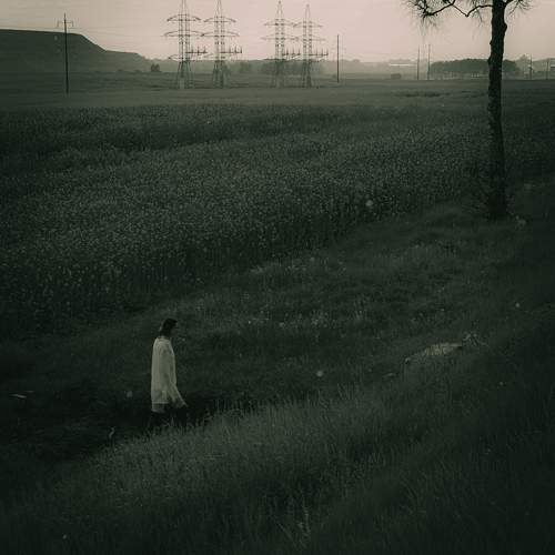 Photo #10678732