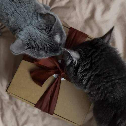 Photo #10678830