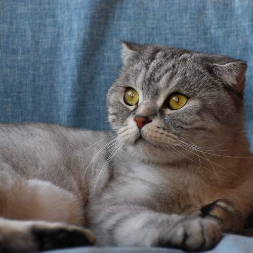 Photo #10678857