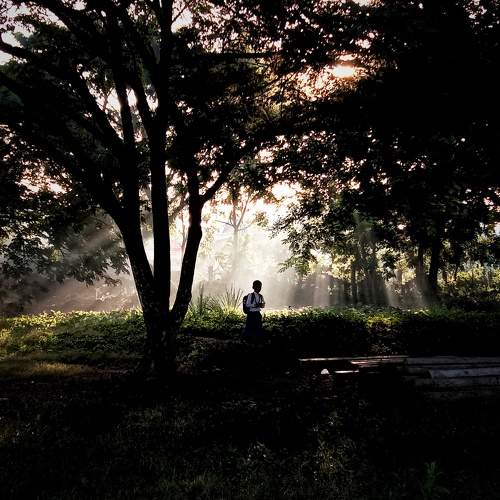 Photo #10678858