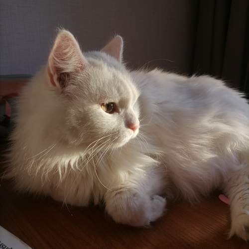 Sun on the sun