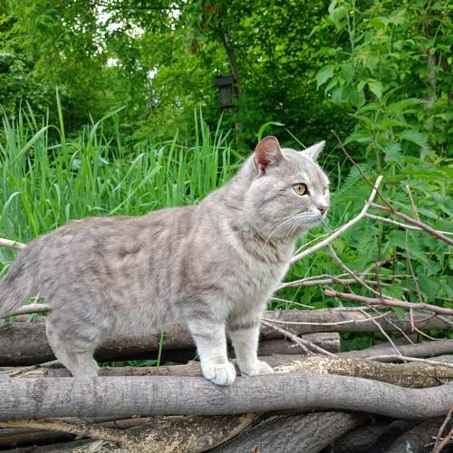 Photo #10679304