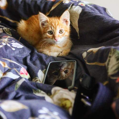 Photo #10679533