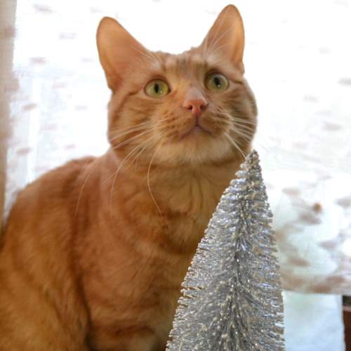 Photo #10679551