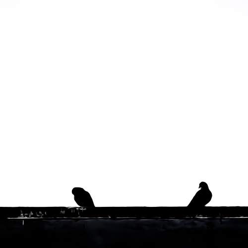 The Distance.