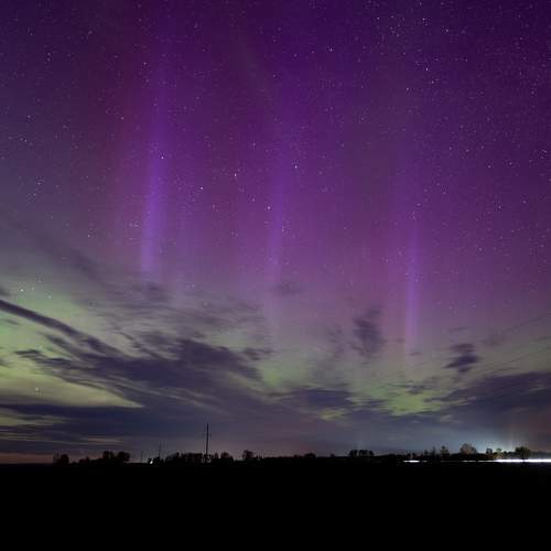 Photo #10679841