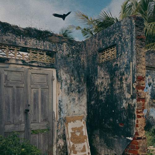 Photo #10679948