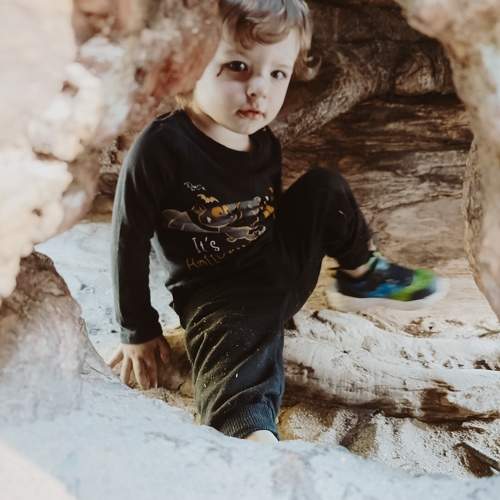 Photo #10680181