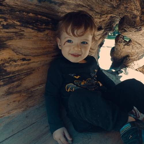Photo #10680183