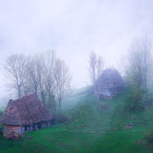 Photo #10680210
