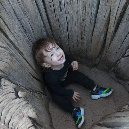 Photo #10680296