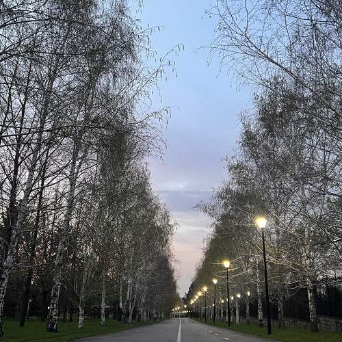Photo #10680477