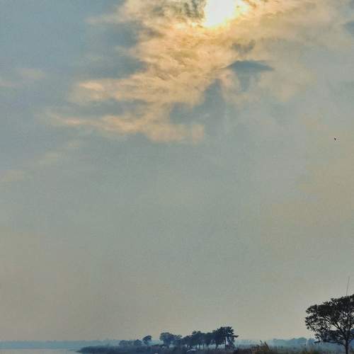 Photo #10680512