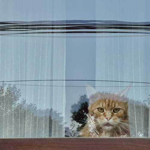 Photo #10680515