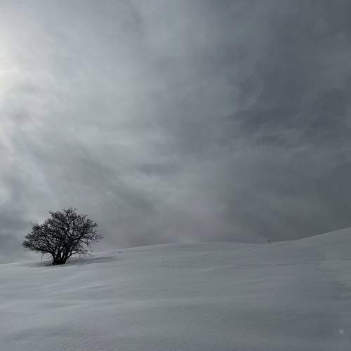 Photo #10680549