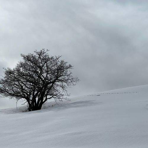 Photo #10680550