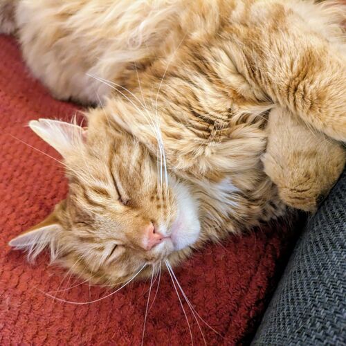 Photo #10680627