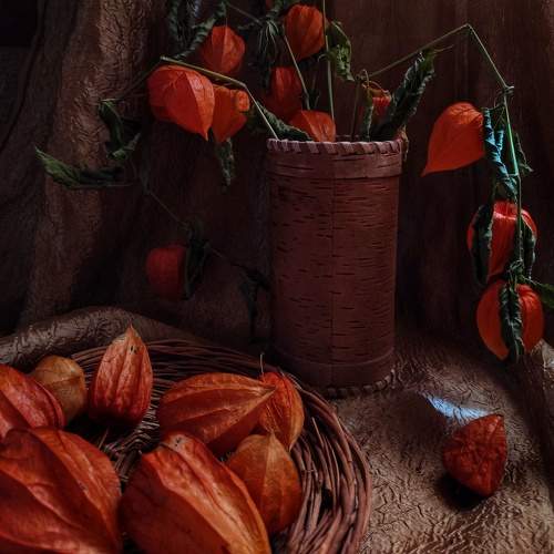 autumn still life