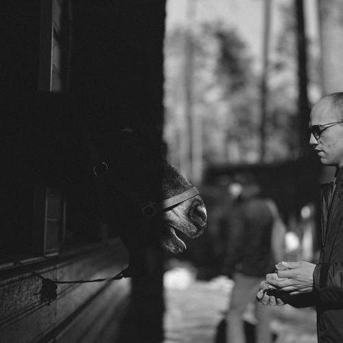 Photo #10681212