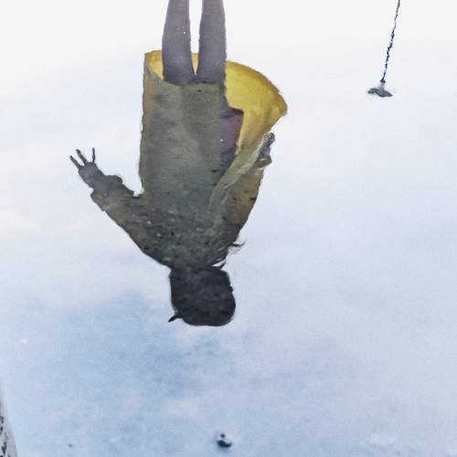 Photo #10681299