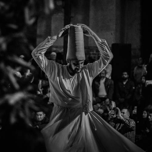 Photo #10681398