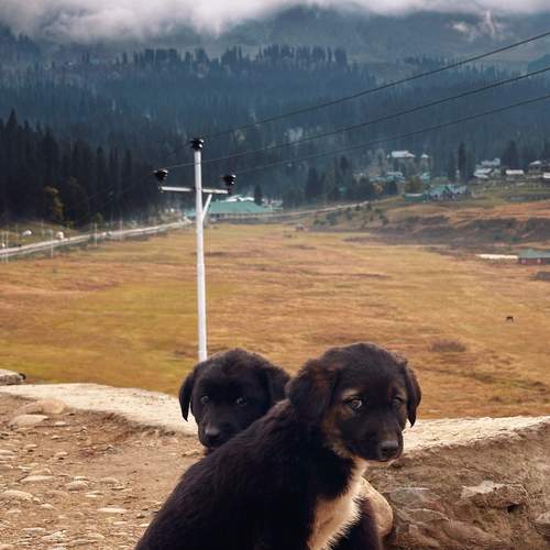 Photo #10681446