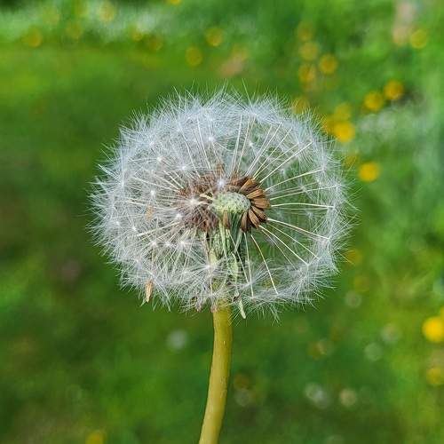 Photo #10681828