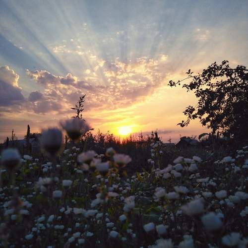 Photo #10681866