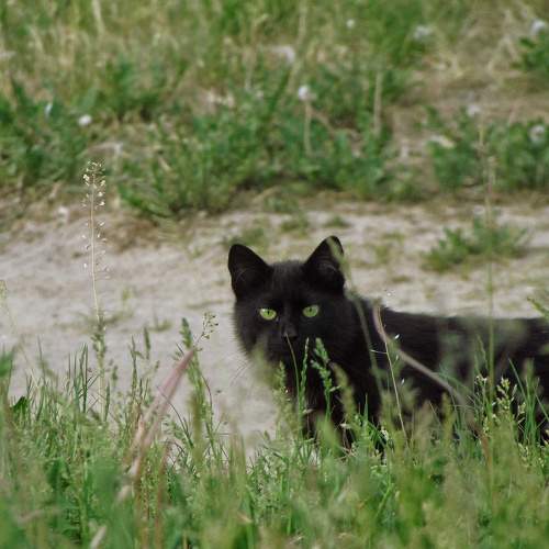 Photo #10682041