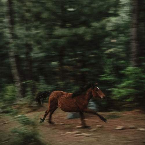 Photo #10682079