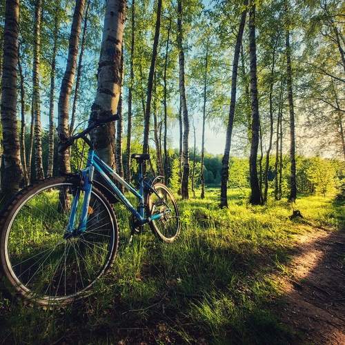 Photo #10682410