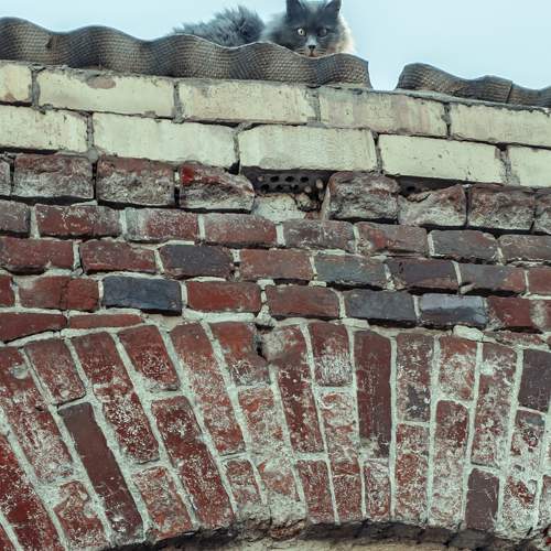 Photo #10682814