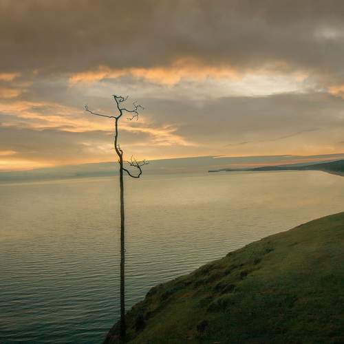 Photo #10682839