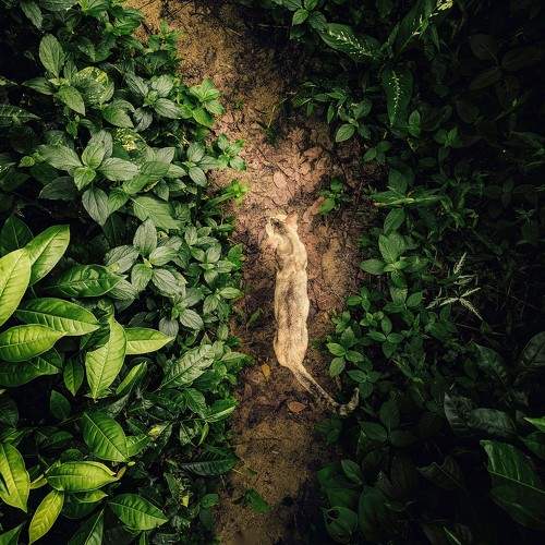 Photo #10682954