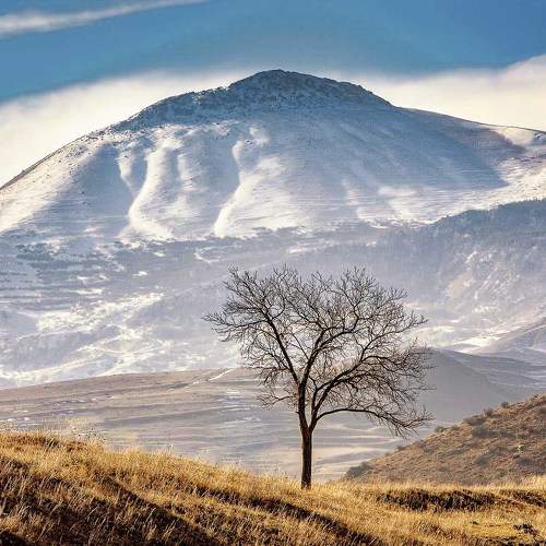 Photo #10682956