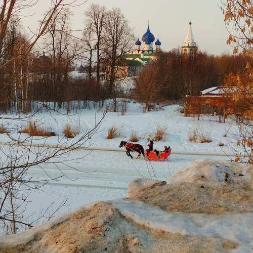Photo #10683152