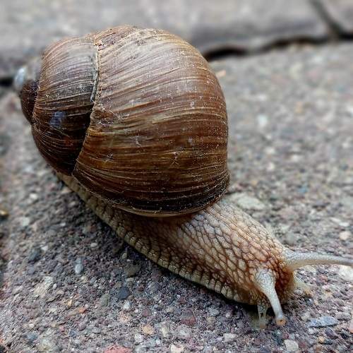 Photo #10683162