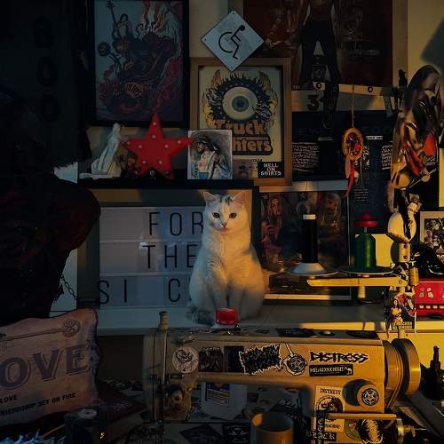 Photo #10683185