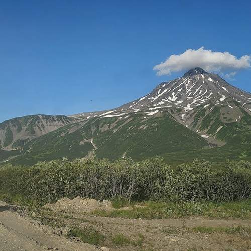 Photo #10683330