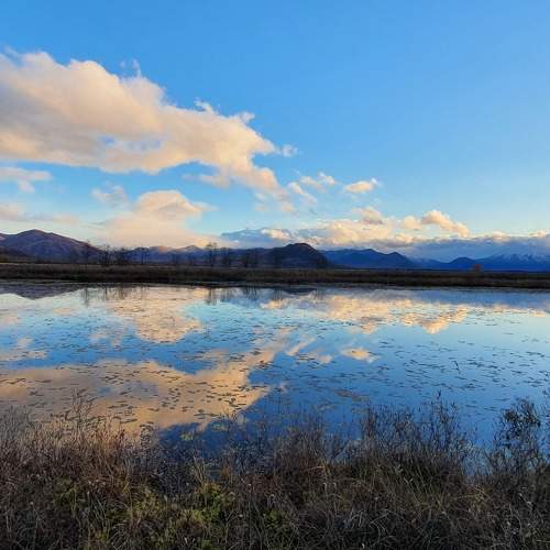 Photo #10683337