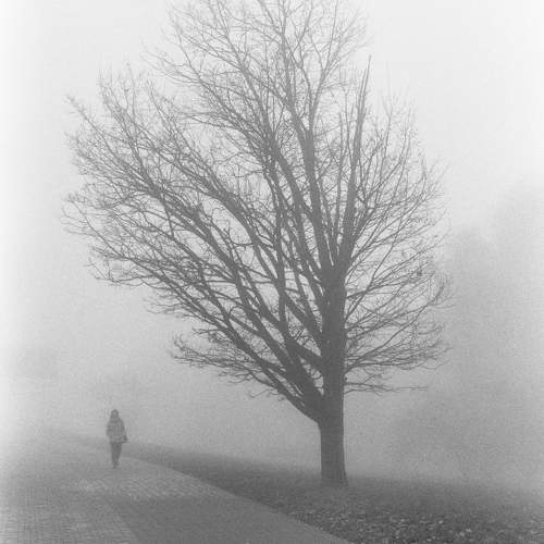 Photo #10683358