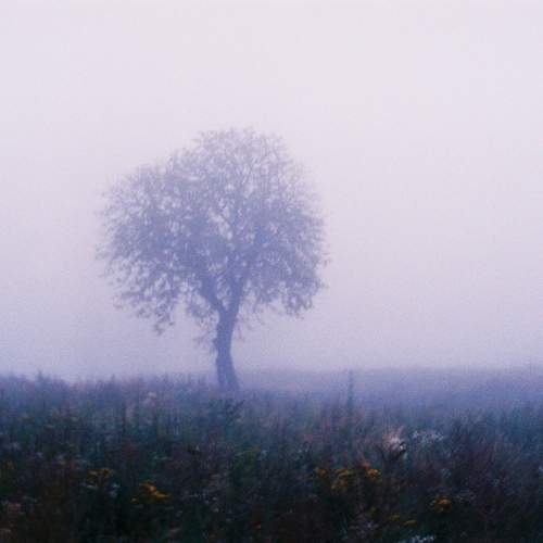 Photo #10683374