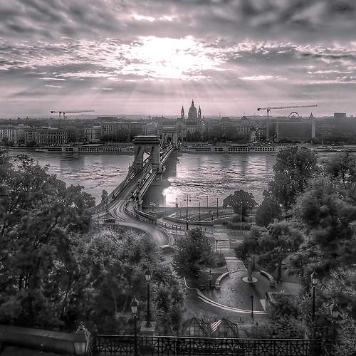 Photo #10683447