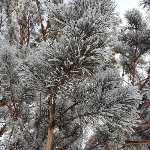 Photo #10683622