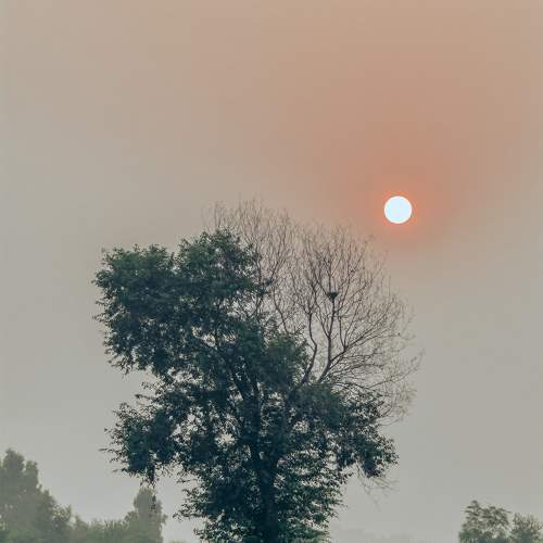Photo #10683623