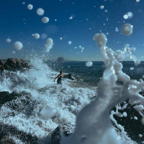 Photo #10683978