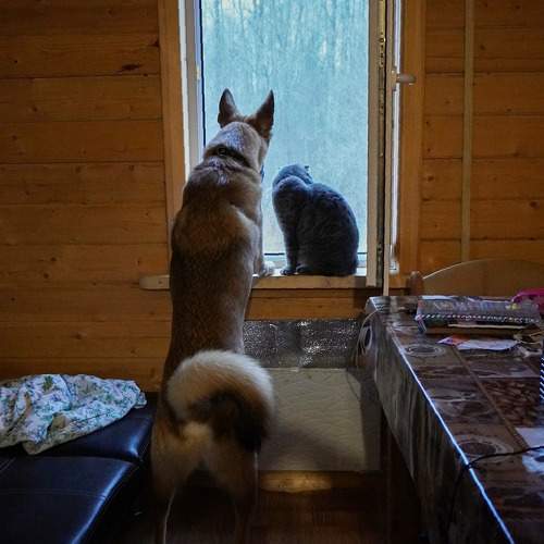 Photo #10684101