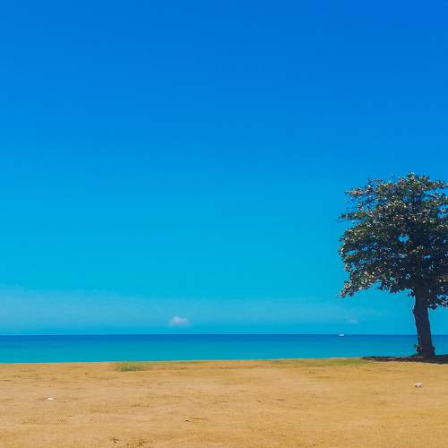 Photo #10684315