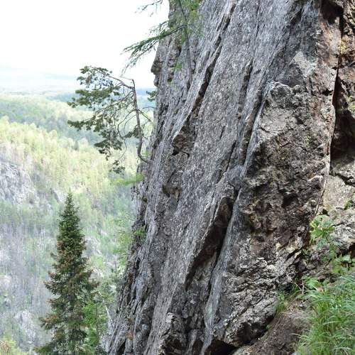 Photo #10684393