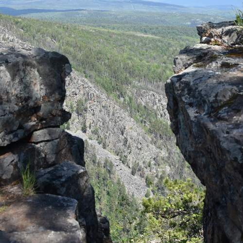Photo #10684396